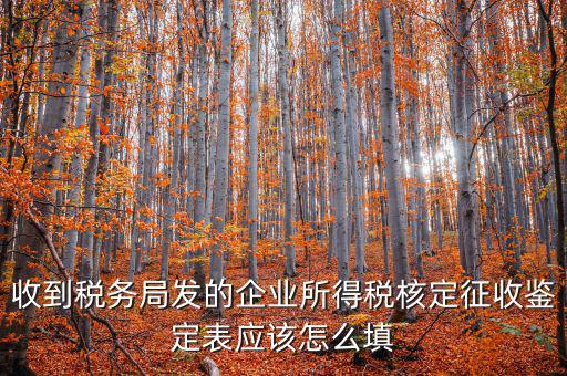 去稅務(wù)局核定征收填什么，核定征收企業(yè)報(bào)所得稅在去稅務(wù)局核定時需要拿什么資料