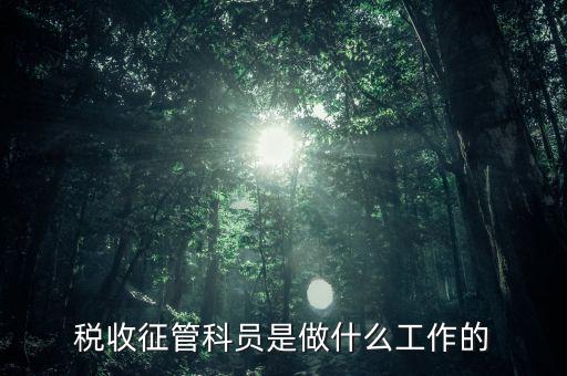 國(guó)稅局征管員和企業(yè)要做什么，稅收征管的公務(wù)員主要做什么工作