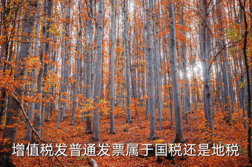 普通發(fā)票是什么稅，普通發(fā)票是國(guó)稅發(fā)票嗎