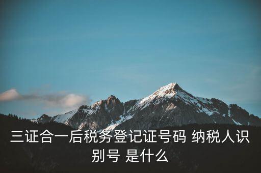 三證合一納稅識(shí)別號(hào)是什么，三證合一后納稅人識(shí)別號(hào)是什么意思