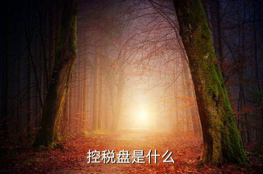 稅控盤是什么，稅控發(fā)票開票軟件 和金稅盤是什么意思