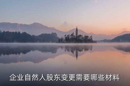 變更自然人登記業(yè)務(wù)需要帶什么，企業(yè)自然人股東變更需要哪些材料