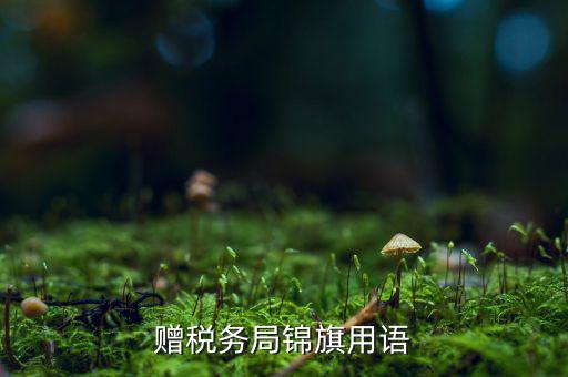 送錦旗給稅局可以寫什么內(nèi)容，贈稅務(wù)局錦旗用語