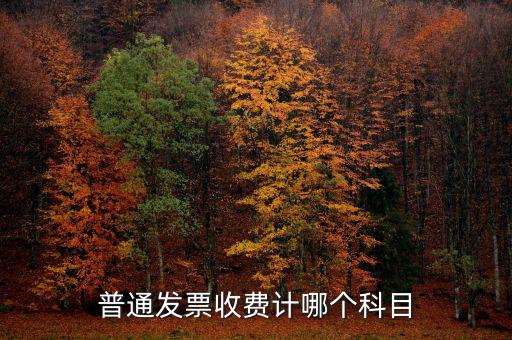 普通發(fā)票繳稅記什么費(fèi)用，普通發(fā)票收費(fèi)計(jì)哪個(gè)科目