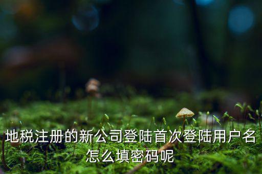 河北省地稅注冊用戶名是什么，稅務(wù)用戶名是什么啊