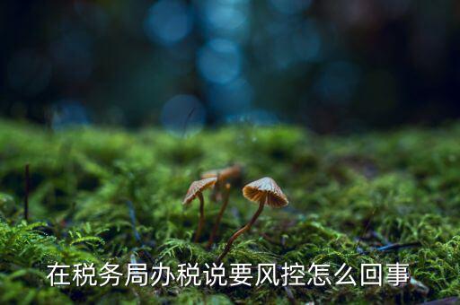稅務局風控管理是做什么的，稅務局風控科好嗎