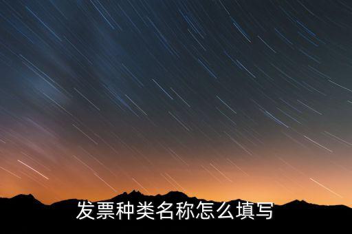 發(fā)票票種是填什么，發(fā)票類型號(hào)是什么啊