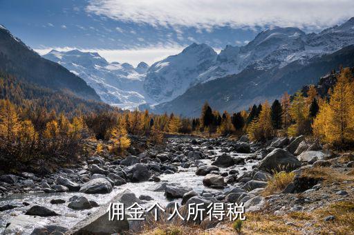 傭金繳納什么稅，傭金個人所得稅