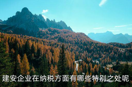 建安企業(yè)申報(bào)是什么，做消防工程開具建安發(fā)票的公司申報(bào)是地稅還是國(guó)稅啊還是兩個(gè)都