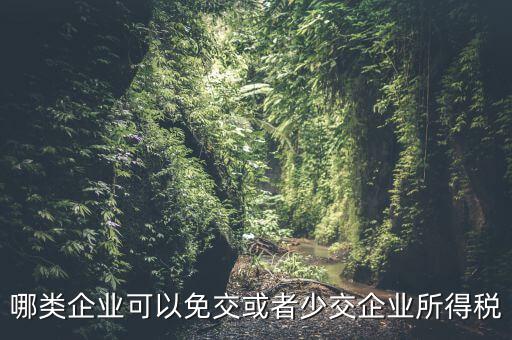 什么情況下企業(yè)可以減免稅收，哪類企業(yè)可以免交或者少交企業(yè)所得稅