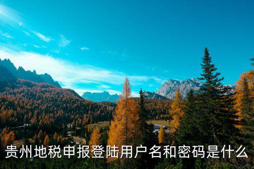 貴州省網(wǎng)上稅務(wù)原始密碼是什么，貴州省國(guó)家稅務(wù)局電子申報(bào)軟件的原始密碼是多少