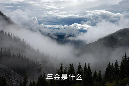 金稅三期里的年金是指什么，年金是什么