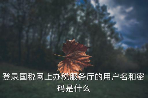 報稅企業(yè)用戶名是什么，登錄國稅網(wǎng)上辦稅服務(wù)廳的用戶名和密碼是什么