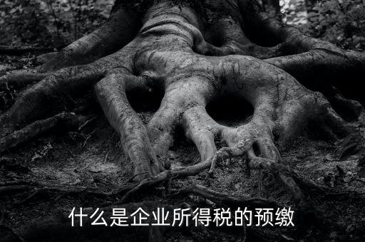 什么是預(yù)交企業(yè)所得稅，什么是企業(yè)所得稅的預(yù)繳