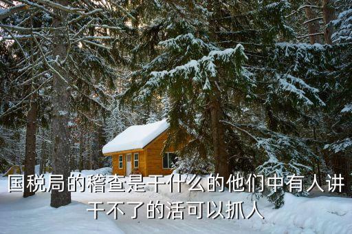 稅務(wù)稽查屬于什么工作，國稅局稽查局工作是干什么