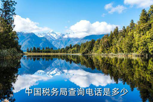 福建國稅查找打什么電話，國稅電話