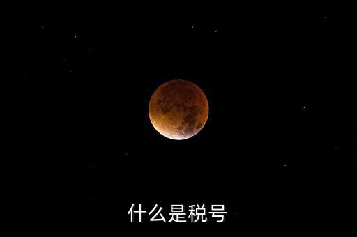 陜西省國(guó)家稅務(wù)局稅號(hào)是什么，什么是稅號(hào)