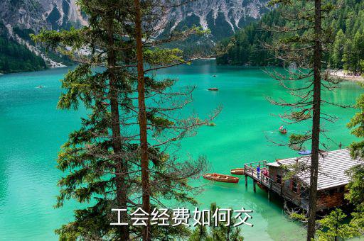 工會(huì)經(jīng)費(fèi)按什么繳納，工會(huì)經(jīng)費(fèi)如何交