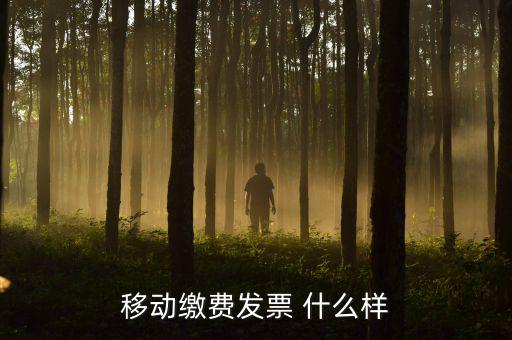 移動(dòng)電子發(fā)票什么樣，移動(dòng)繳費(fèi)發(fā)票 什么樣