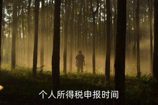 代扣代繳的個(gè)稅什么時(shí)候申報(bào)，個(gè)人所得稅申報(bào)時(shí)間