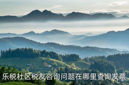 稅友服務(wù)器地址是什么，樂稅社區(qū)稅友咨詢問題在哪里查詢發(fā)票