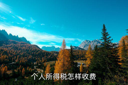 辦理個(gè)稅登記需要什么手續(xù)費(fèi)，個(gè)人所得稅怎樣收費(fèi)