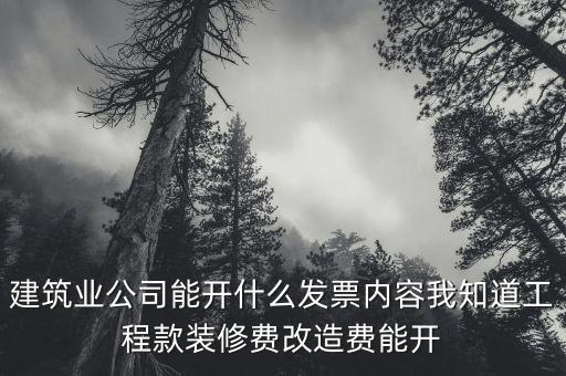 建筑業(yè)開票開什么內(nèi)容，建筑行業(yè)需要開些什么票