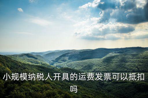 什么樣的運費票可以抵，運輸費增值稅都能用什么票抵扣