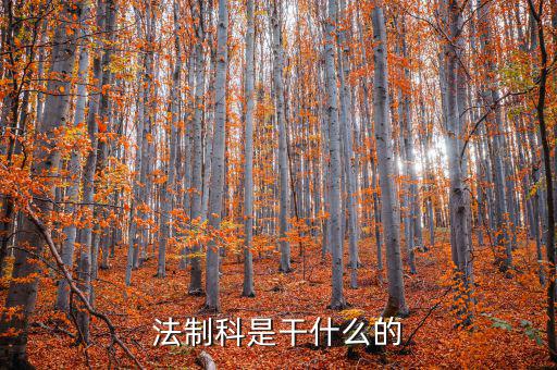 地稅局法制科有什么權(quán)，地稅局法規(guī)科是什么職能