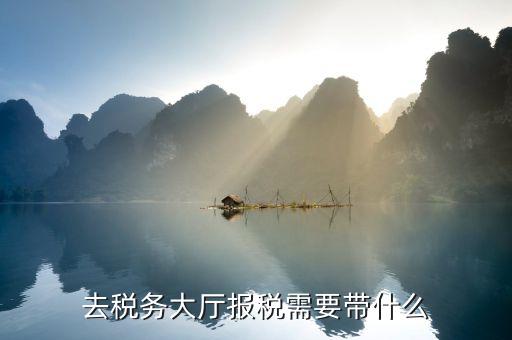 去地稅大廳解決欠稅問(wèn)題需帶什么資料及文件，去稅務(wù)大廳查詢公司欠的增值稅需帶啥資料
