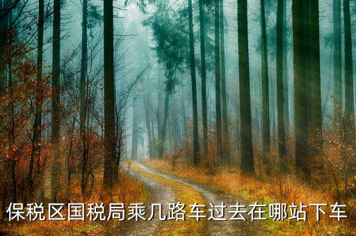 深圳市保稅區(qū)地稅局做什么車，深大北門到深圳市保稅區(qū)地稅局怎么走