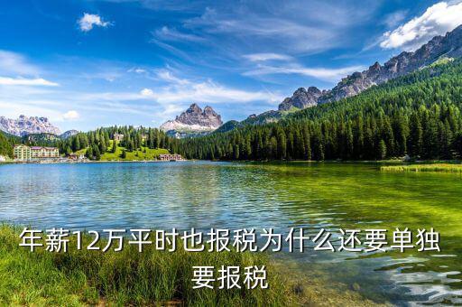 為什么個稅要單獨申報客戶端，為什么個人所得稅是要獨立下載申報軟件的