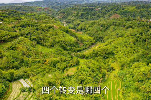 四個(gè)轉(zhuǎn)變是什么   稅收，詳細(xì)介紹一下四種流轉(zhuǎn)稅