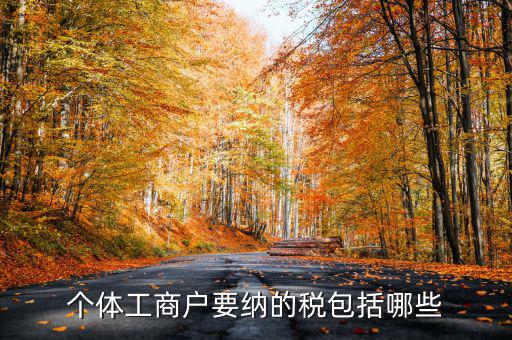 個體戶需要交什么稅，個體工商戶需要鈉哪些稅呢