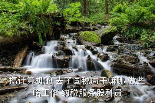 自動(dòng)化進(jìn)國稅局做什么，國稅是做什么工作的