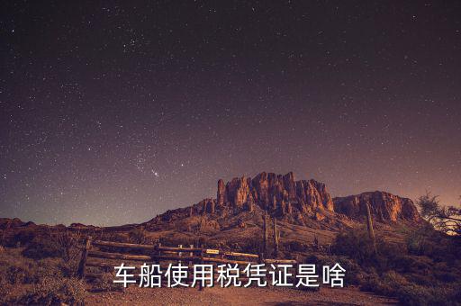 車船稅繳納憑證是什么意思，車船使用稅憑證是啥