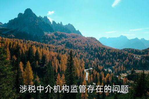 社會(huì)組織涉稅方面有什么問(wèn)題，涉稅中介機(jī)構(gòu)監(jiān)管存在的問(wèn)題