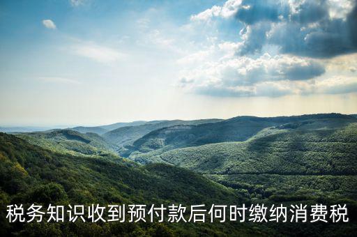 消費稅是什么時候交，各種稅費交納時間