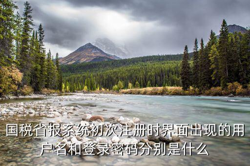 網(wǎng)上辦稅登入名是什么，稅務用戶名是什么啊