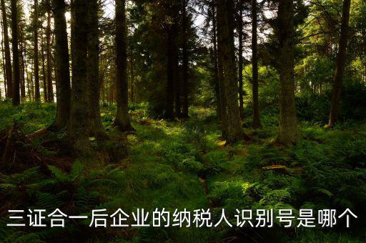 三證合一的納稅人識(shí)別號(hào)是什么，三證合一后企業(yè)的納稅人識(shí)別號(hào)是哪個(gè)