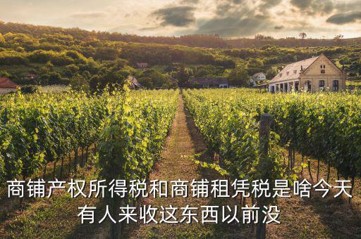 什么是商鋪租賃稅，商鋪出租應(yīng)交哪些稅