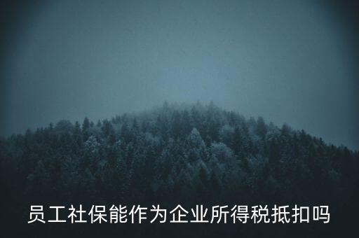 企業(yè)社?？梢缘质裁炊?，員工社保能作為企業(yè)所得稅抵扣嗎