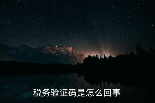 網(wǎng)上稅務(wù)局下載碼是什么意思，湖北省電子稅務(wù)局下載uk驅(qū)動(dòng)二維碼是什么意思
