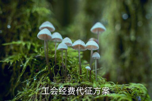 工會(huì)經(jīng)費(fèi)為什么委托稅務(wù)機(jī)關(guān)代征，工會(huì)經(jīng)費(fèi)交地稅局是怎么回事