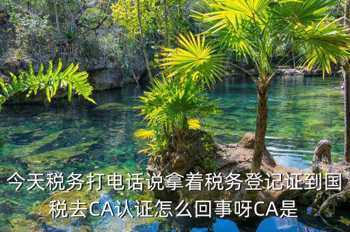 電子稅務(wù)局什么是ca登錄，網(wǎng)上報稅CA驗證系統(tǒng)是甚么