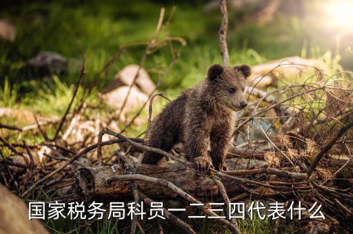 上海稅務局說的三員指什么，紀檢三員是指哪三員選舉三員是指哪三員