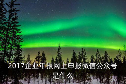 企業(yè)申報客戶端是什么意思，2017企業(yè)年報網(wǎng)上申報微信公眾號是什么