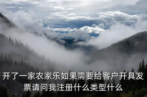 我要是以開普票為主 注冊(cè)什么性質(zhì)的公司好，開了一家農(nóng)家樂如果需要給客戶開具發(fā)票請(qǐng)問我注冊(cè)什么類型什么