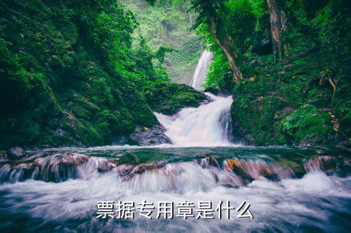 票證專用章是什么章，票據(jù)專用章是什么章