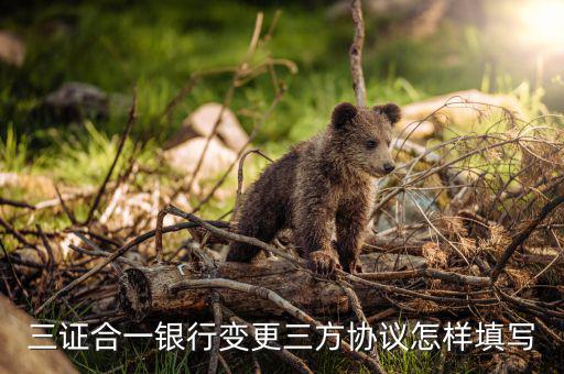 三證合一簽三方需要填什么，三證合一銀行變更三方協(xié)議怎樣填寫